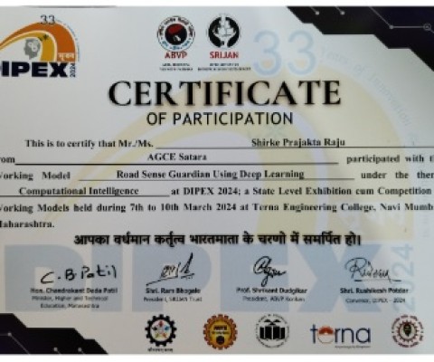 Dipex 2024 State Level Project Competition Participation